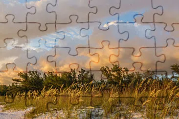 Toy jigsaw puzzle