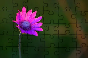 OK jigsaw puzzle