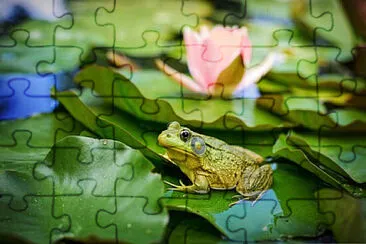 Toy jigsaw puzzle