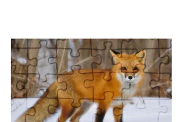 vörös róka jigsaw puzzle