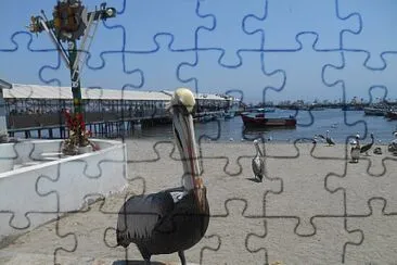 Pelicano jigsaw puzzle