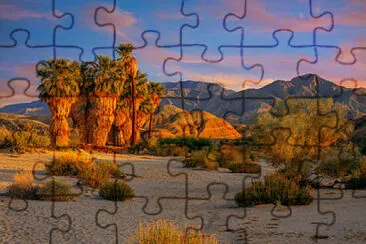 15 jigsaw puzzle