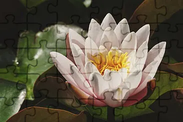 OK jigsaw puzzle