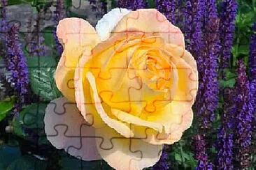 OK jigsaw puzzle