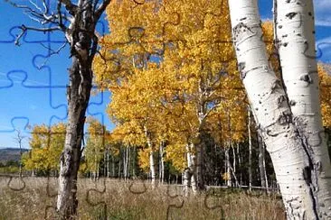 Aspens on Casper Mountain jigsaw puzzle