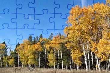 Aspens on Casper Mountain jigsaw puzzle