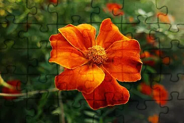 OK jigsaw puzzle