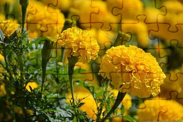 OK jigsaw puzzle