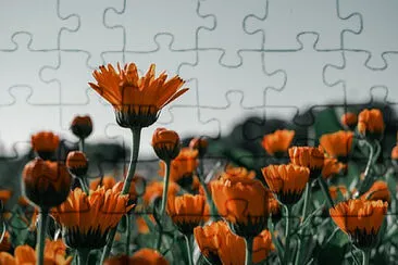 OK jigsaw puzzle