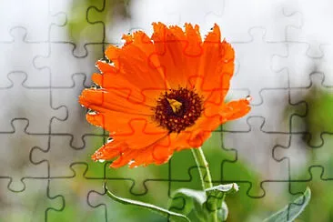 OK jigsaw puzzle