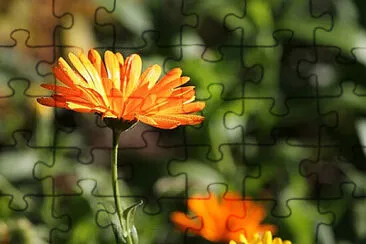 OK jigsaw puzzle