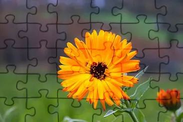 OK jigsaw puzzle