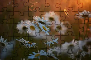 Toy jigsaw puzzle