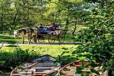 Descanso Campestre