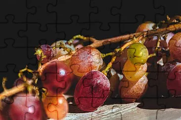 Toy jigsaw puzzle