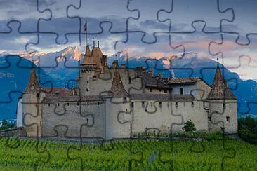 Toy jigsaw puzzle