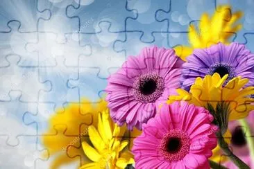 gerberas jigsaw puzzle