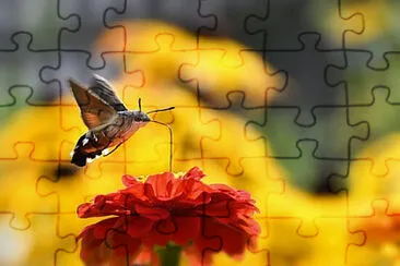 OK jigsaw puzzle