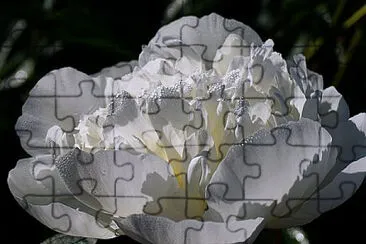 OK jigsaw puzzle