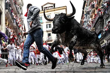 San Fermín jigsaw puzzle