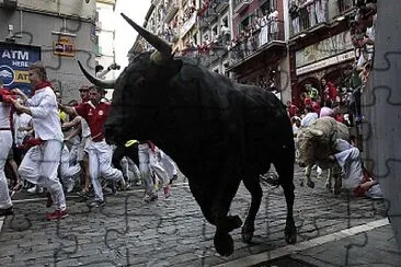 San Fermin V