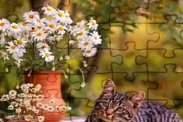 gato jigsaw puzzle