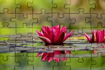 Toy jigsaw puzzle