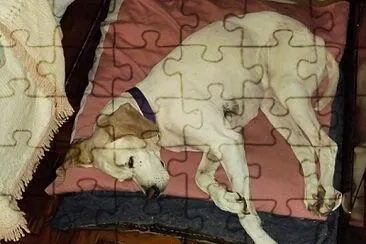 lola jigsaw puzzle