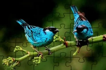 imagem jigsaw puzzle