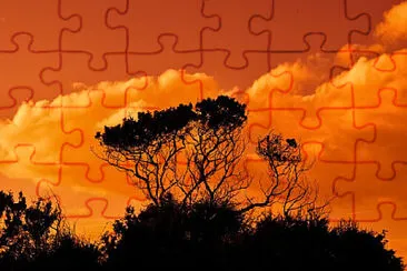 Toy jigsaw puzzle