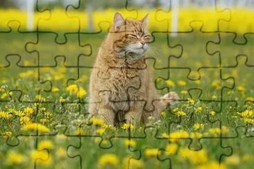 Toy jigsaw puzzle