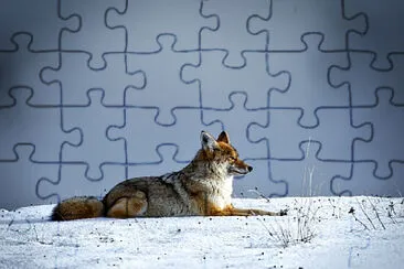 Toy jigsaw puzzle