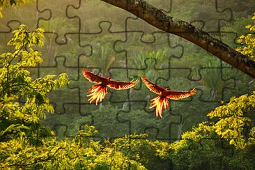 Toy jigsaw puzzle