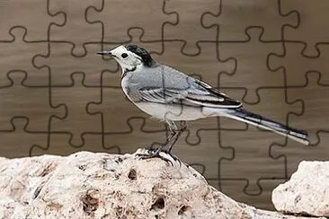 נחליאלי2 jigsaw puzzle