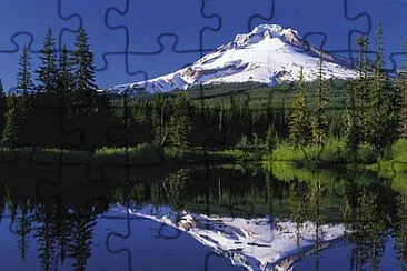 Toy jigsaw puzzle