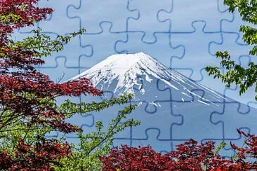 Toy jigsaw puzzle