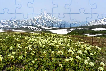 Toy jigsaw puzzle