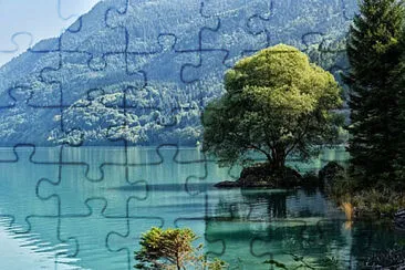 Toy jigsaw puzzle