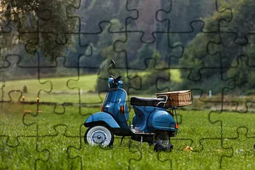 Toy jigsaw puzzle