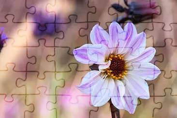 Toy jigsaw puzzle