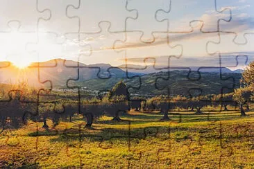 Toy jigsaw puzzle