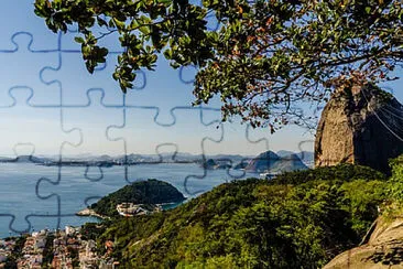 Toy jigsaw puzzle