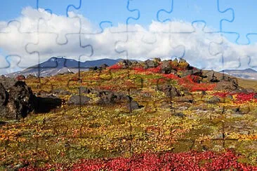 Toy jigsaw puzzle