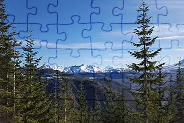 Toy jigsaw puzzle