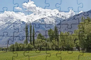 Toy jigsaw puzzle