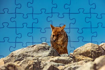 Toy jigsaw puzzle