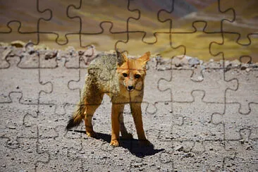 Toy jigsaw puzzle