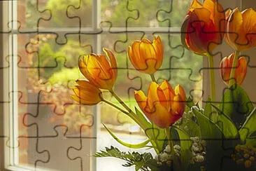 Toy jigsaw puzzle