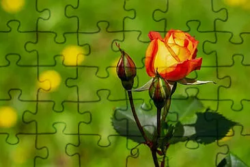 Toy jigsaw puzzle