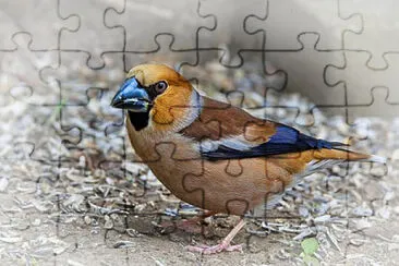 Toy jigsaw puzzle